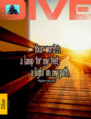 Cover image for DWELL Year 3 6-8/Dive Unit 5 Young Teen Resources, isbn: 9781592557103