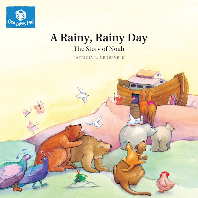 Cover image for A Rainy, Rainy Day, isbn: 9781592558346