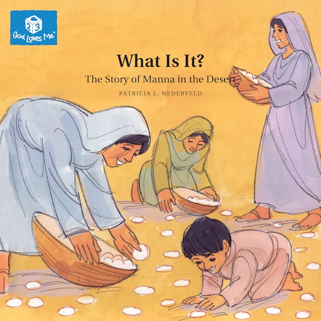 Cover image for What Is It?, isbn: 9781592558421