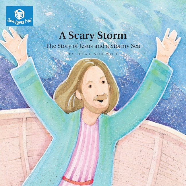 Cover image for A Scary Storm, isbn: 9781592558636