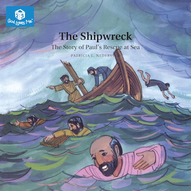 Cover image for The Shipwreck, isbn: 9781592558803