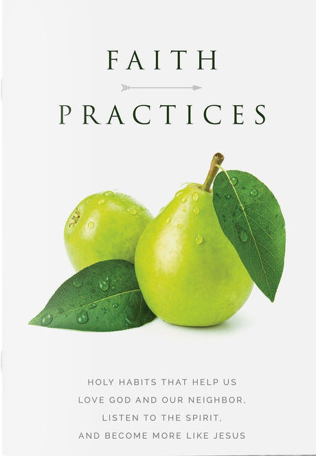 Cover image for Faith Practices, isbn: 9781592559565