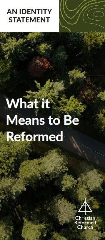 Cover image for What It Means to Be Reformed, isbn: 9781620250709