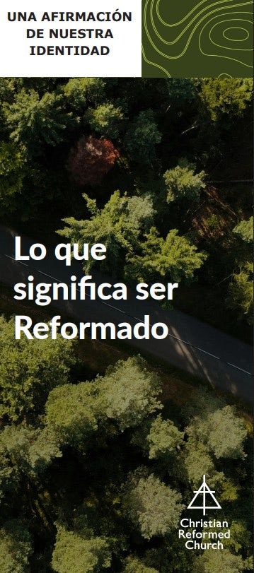 Cover image for What It Means to Be Reformed (Spanish), isbn: 9781620250716