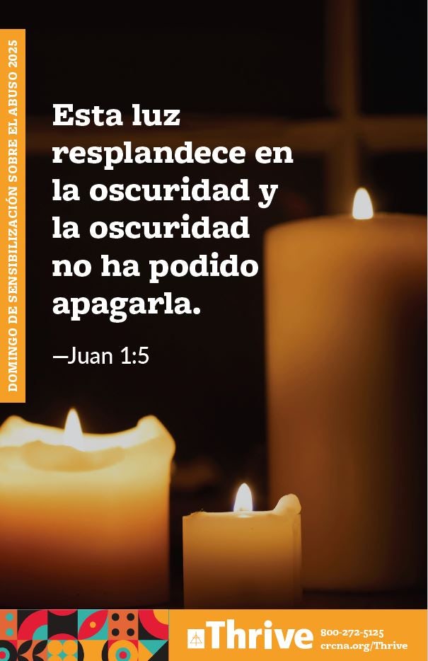 Cover image for Abuse Awareness Insert (Spanish), isbn: 9781620251119