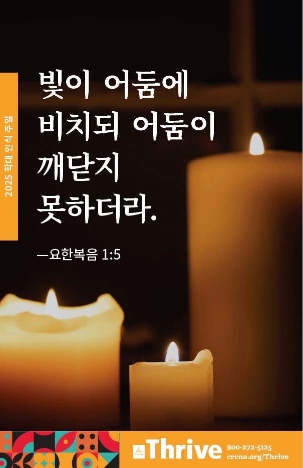 Cover image for Abuse Awareness Insert (Korean), isbn: 9781620251126