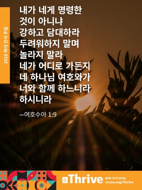 Cover image for Abuse Awareness Insert (Korean), isbn: 9781620251126