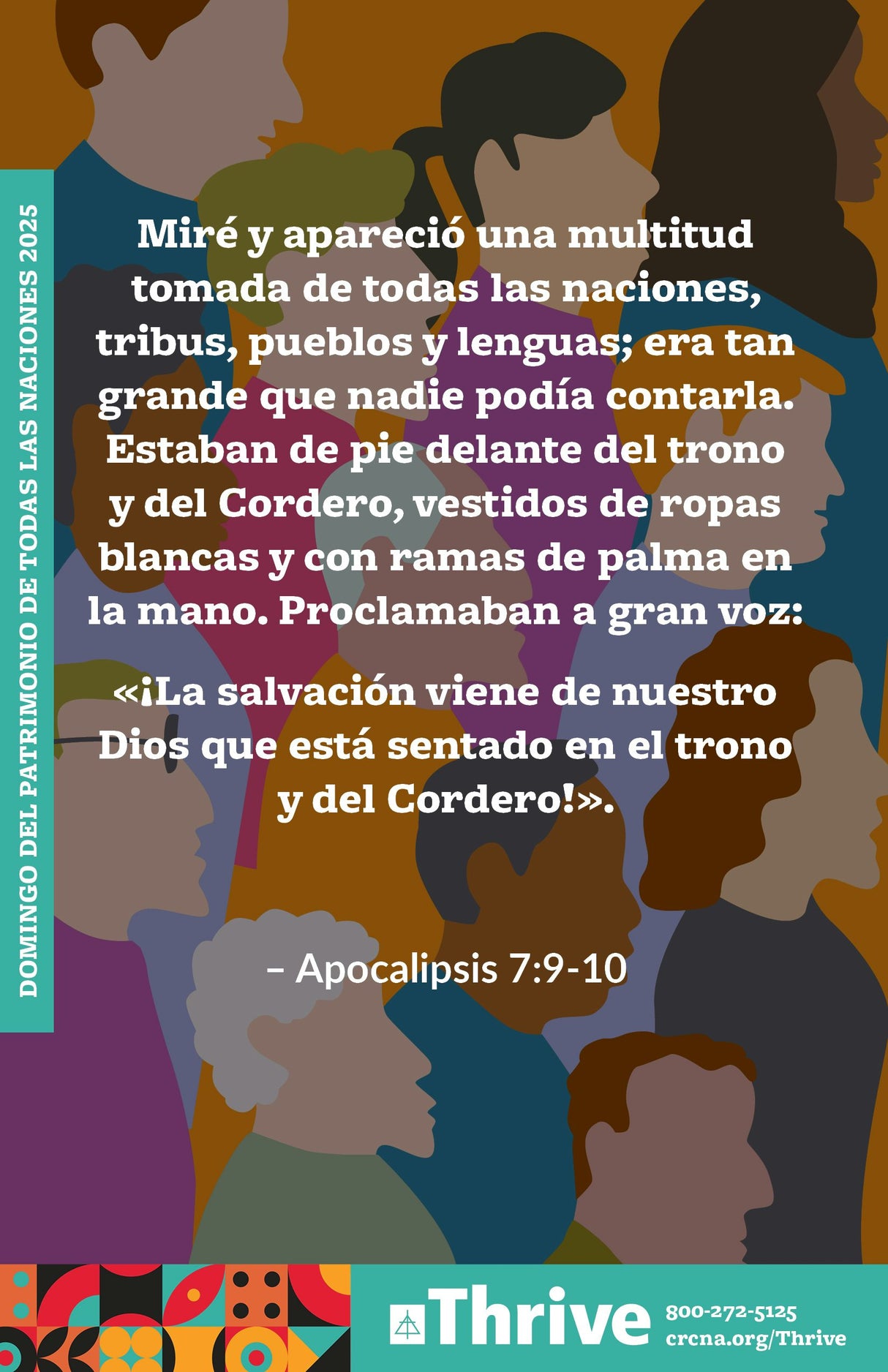 Cover image for All Nations Heritage Bulletin Insert (Spanish), isbn: 9781620251386