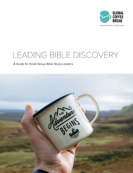 Cover image for Leading Bible Discovery Digital, isbn: 9781620252369