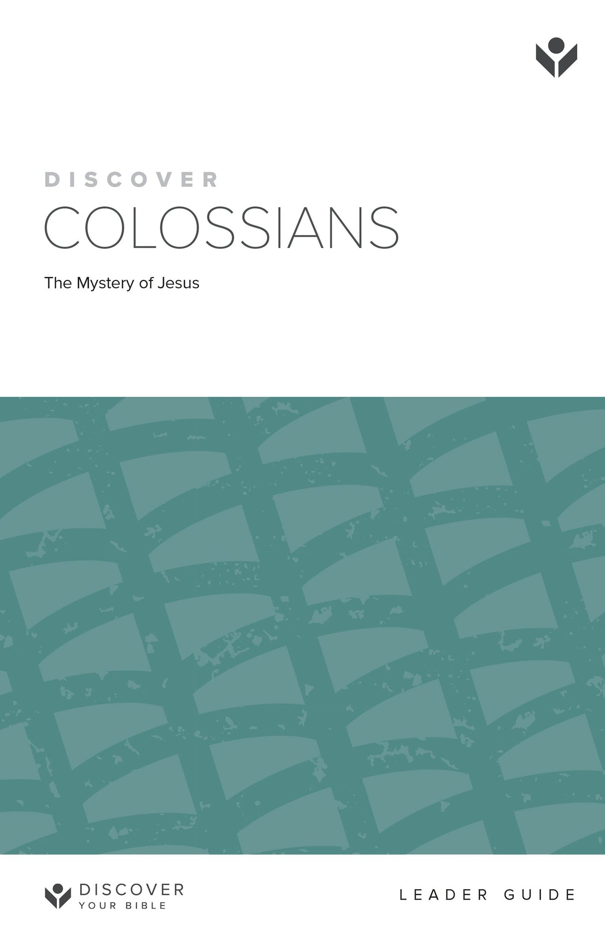 Cover image for Discover Colossians Leader Guide Digital, isbn: 9781620253199