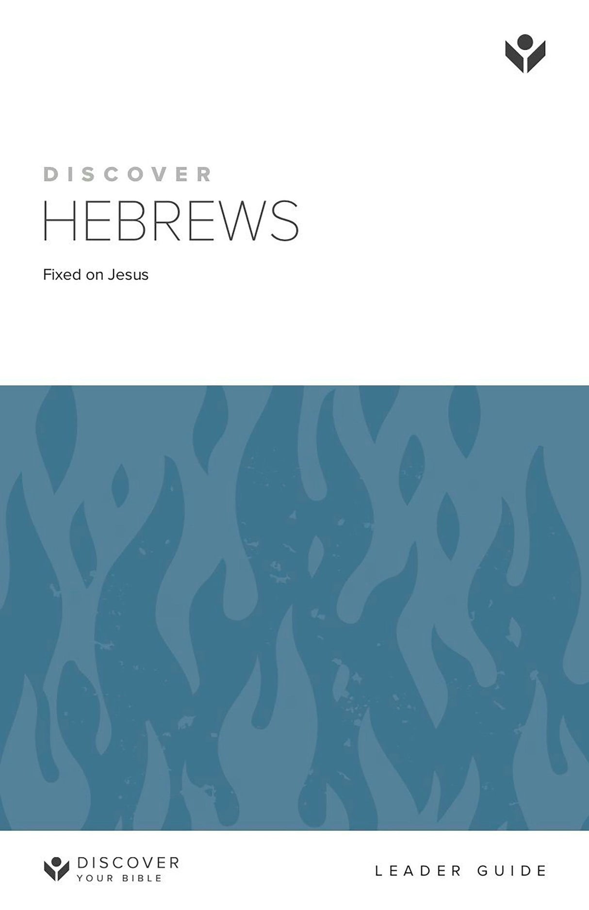 Cover image for Discover Hebrews Leader Guide, isbn: 9781592552887