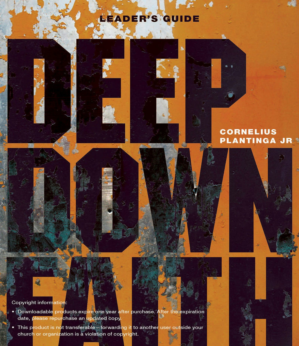 Cover image for Deep Down Faith Leader's Guide (Download), isbn: 9781592554898