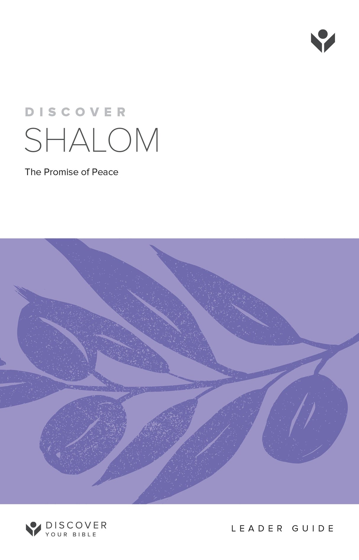 Cover image for Discover Shalom Leader Guide, isbn: 9781592559893