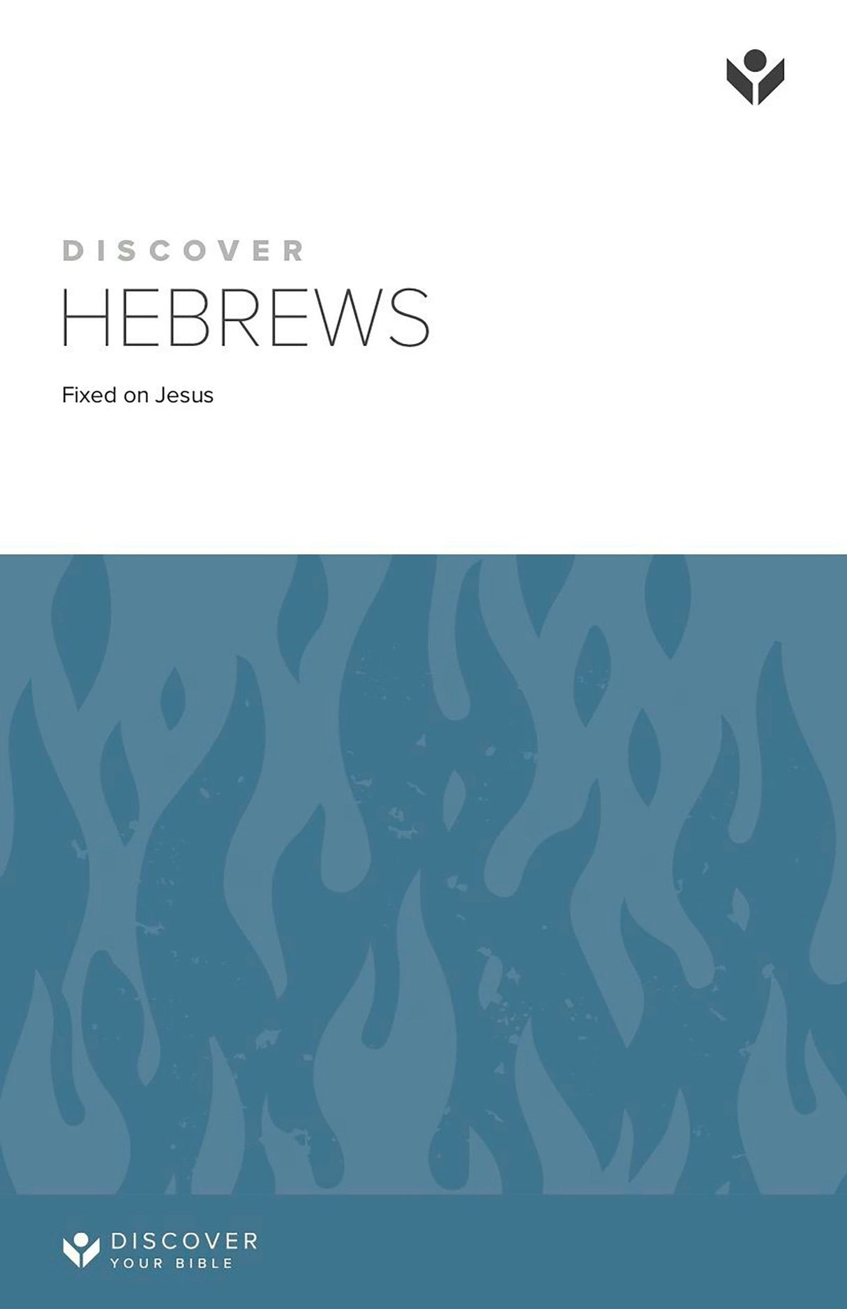 Cover image for Discover Hebrews Study Guide Digital, isbn: 9781620252802