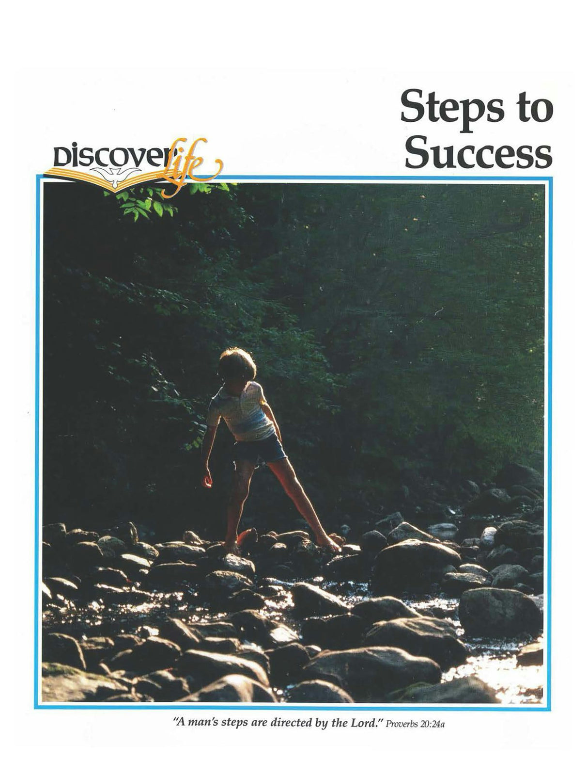 Cover image for Steps To Success Digital Edition, isbn: 9781620255100